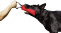 Dingo Gear French Linen tug Toy for Dog, Dog Bumper for Training, Agility, tug of war, Dog bite Pillow for Strong Dog, 1handle 8" red S00070