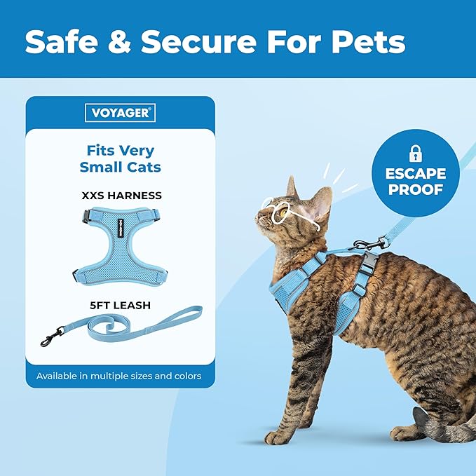Voyager Escape Proof Cat Harness and Leash Set with Reflective Stitching, Neoprene Handle 5ft - Supports Small, Medium and Large Cats, Kittens for Walking by Best Pet Supplies - Baby Blue, XXS