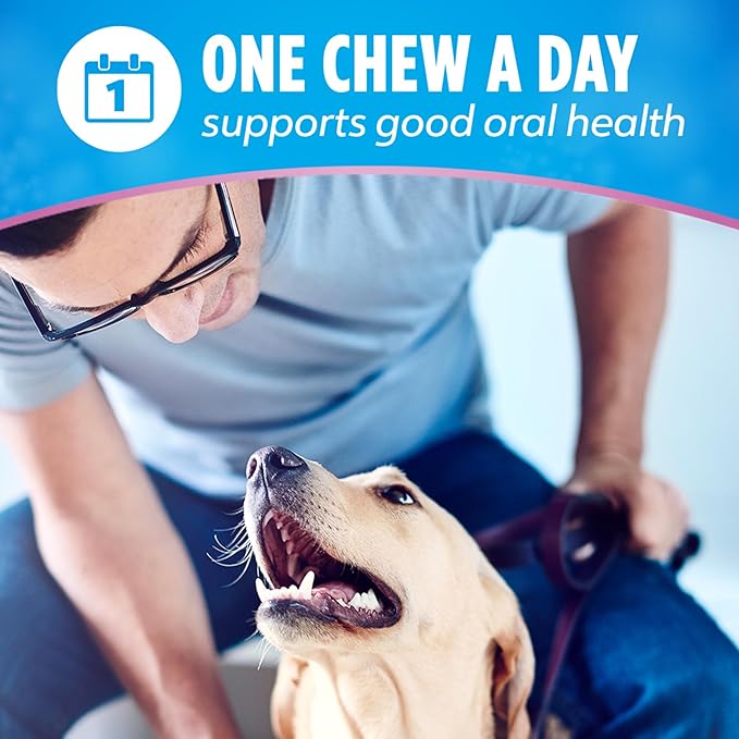 Dentalife Plus Digestive Support Dog Treats for Small and Medium Dogs 20-40 lbs., Cleans Teeth, Freshens Breath, & Supports Healthy Gut, Chicken & Pumpkin Flavor, 6 oz., 8 Chews - 6 oz. Pouch