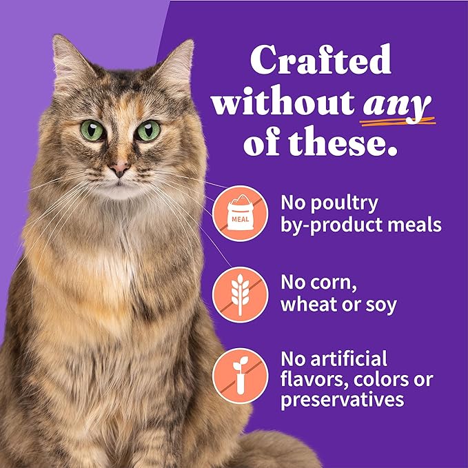 Halo Adult Wet Cat Food, Grain Free, Chicken Shrimp & Crab Stew 5.5oz Can (Pack of 12)