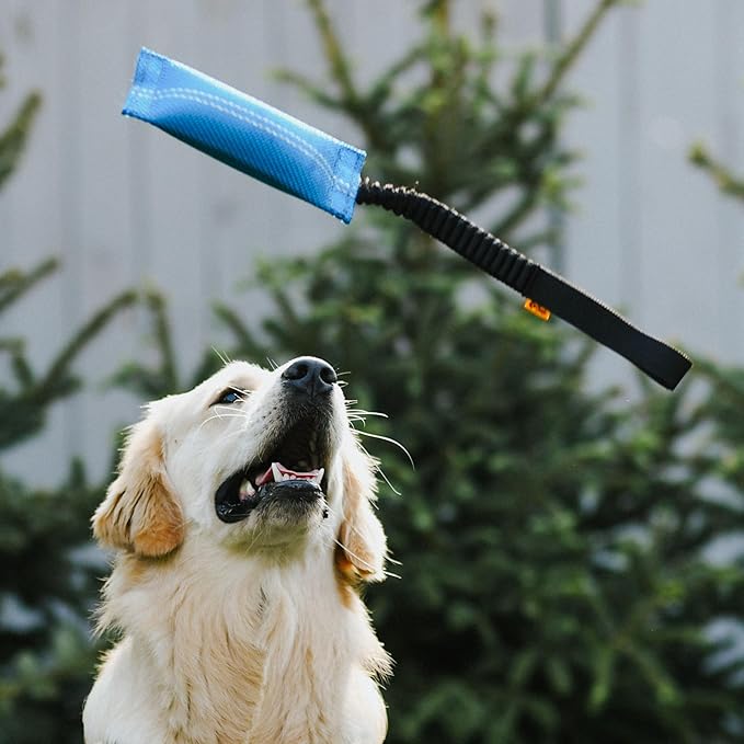 Dingo fire Hose tug Toy for Dog with Strong Bungee Handle, Long Toy for Dog Training, Agility Sport, tug of war, Handle 11-19in Blue 15670