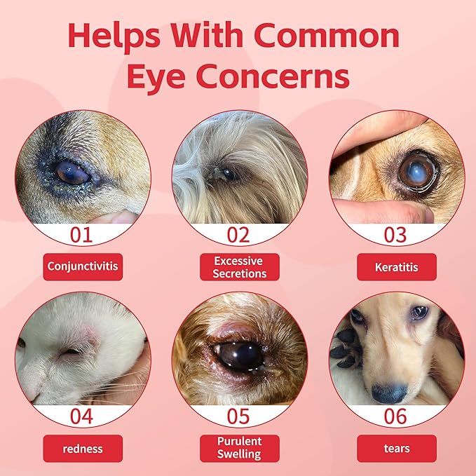 Cataract drops for dogs– Dog Eye Drops Improve Vision Clarity, Improve Eye Vision and Cataracts– 2.03 fl oz (60 mL)