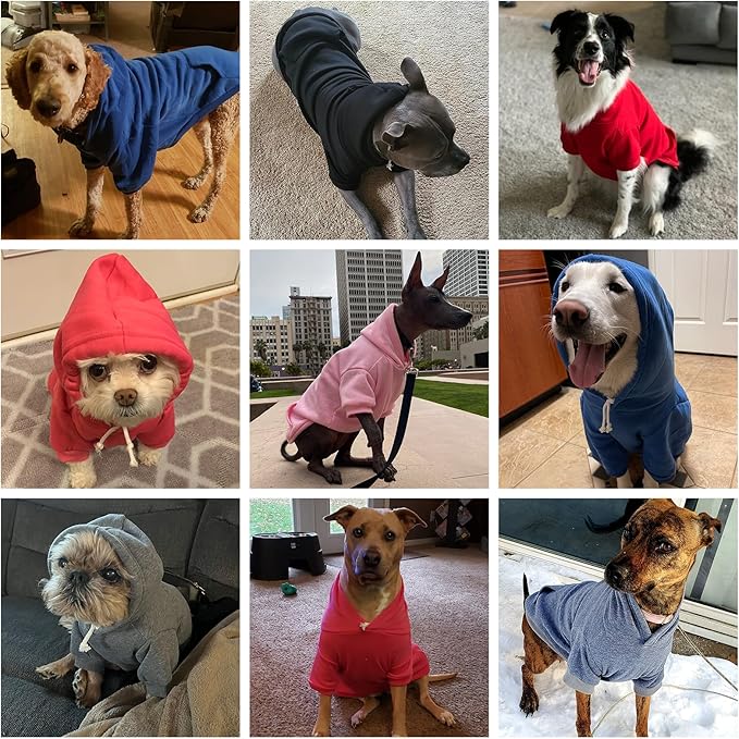 KOOLTAIL Basic Dog Hoodie - Soft & Warm Dog Hoodie Sweater with Leash Hole and Pocket, Dog Winter Coat, Cold Weather Clothes Sweatshirt for Small Medium Large Dogs Puppy Cat Boys Girls Green M