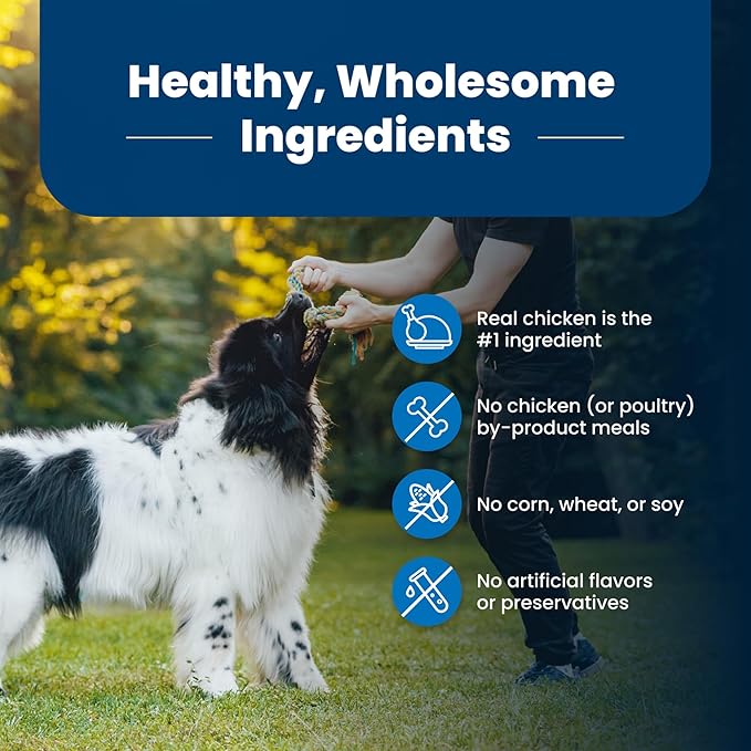 Blue Buffalo Life Protection Formula Natural Adult Dry Dog Food, Chicken and Brown Rice 5-lb Trial Size Bag