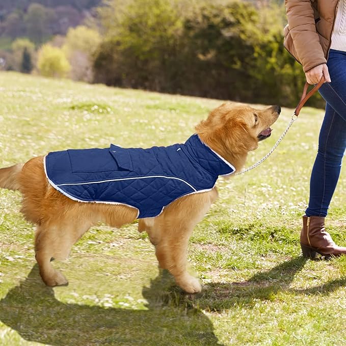 Malier Dog Winter Coat, Windproof Dog Cold Weather Coats with Real Pocket, Winter Extra Warm Pet Coat Fleece Jacket Reflective Clothes for Small Medium Large Dogs and Puppy (Blue, Large)