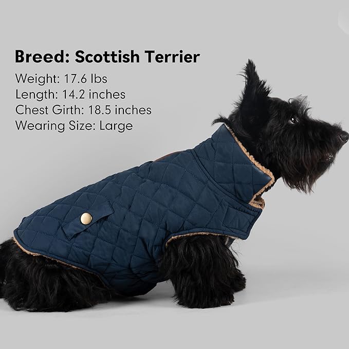 azuza Dog Jacket Waterproof & Windproof Dog Coat for Small Dogs with Thick Fleece, High Collar with Leash Hole, Adjustable Velcro & Elastic Belly, Navy L