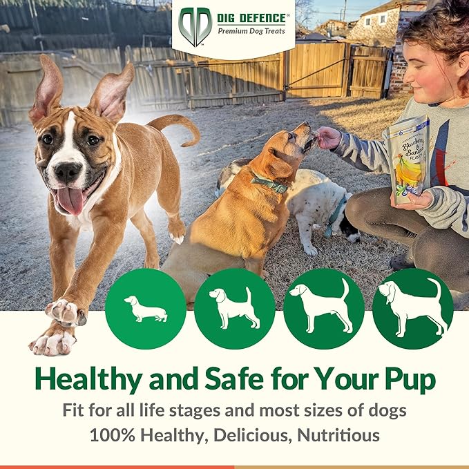 Dig Defence Premium Dog Treats - Carrot & Peanut Butter Gourmet Healthy Dog Treats, All-Natural Ingredients Training Treats for Dogs, 6-Pack