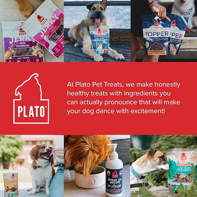 PLATO Pet Treats Jerky Dog Treats - Air-Dried Jerky for Dogs - Delicious, Real Meat Dog Treats - Grain Free - Supports Healthy Digestion - Chicken Jerky with Bone Broth 7oz