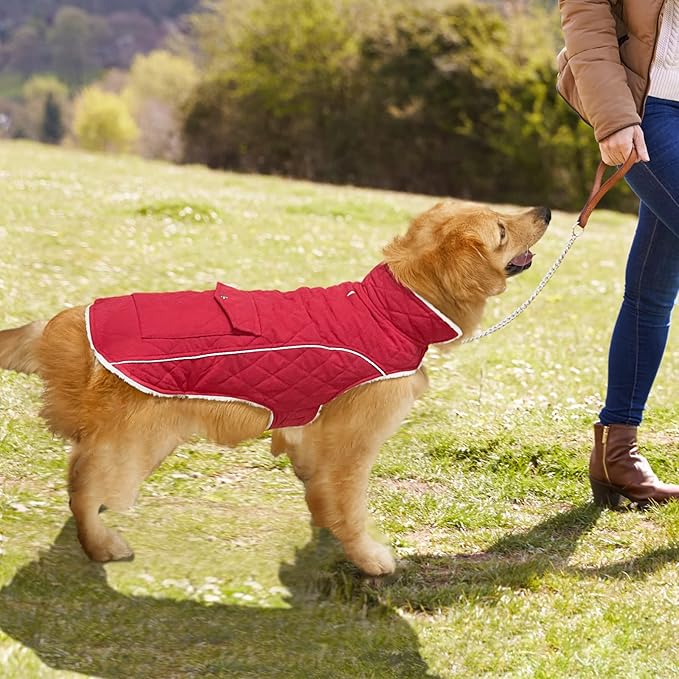 Malier Dog Winter Coat, Windproof Dog Cold Weather Coats with Real Pocket, Winter Extra Warm Pet Coat Fleece Jacket Reflective Clothes for Small Medium Large Dogs and Puppy (Red, Small)