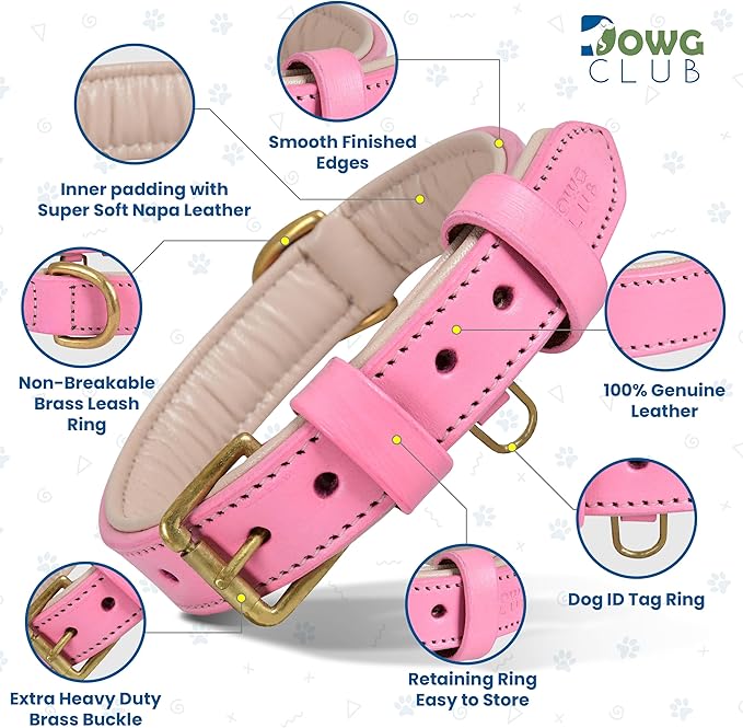 Leather Dog Collar for Small Dogs, Light Pink, .75 Inch Wide, Genuine Leather, Heavy Duty with Soft Inner Padding, Comfortable and Durable | (Blush Pink, Small (Fit Neck Size 11.5"-14.5"))