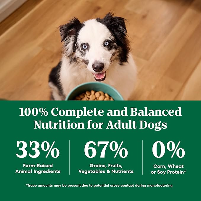 Nutro Natural Choice Lamb & Brown Rice Senior Dog Food Dry Recipe, 30 lb. Bag