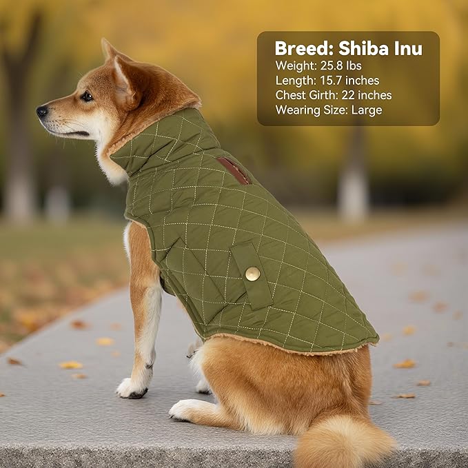 Dog Winter Coat, Warm Dog Jacket Windproof Waterproof Pet Cold Weather Coats for Small Dogs, Turtleneck Fleece Lined Dogs Clothes with Leash Hole, Green Medium