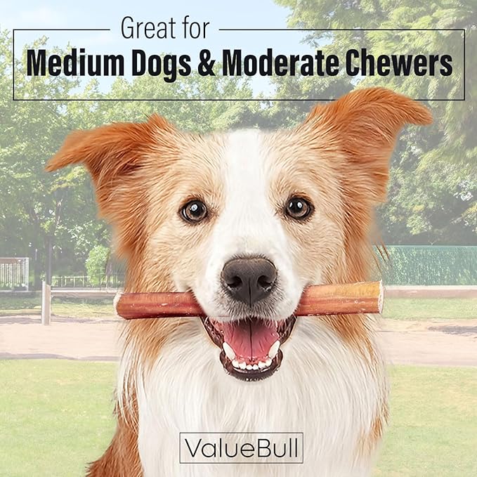 ValueBull Bully Sticks for Dogs, Medium 6 Inch, 100 Count Bulk Pack - All Natural, Grass Fed, Single Ingredient, Long Lasting Dog Treats