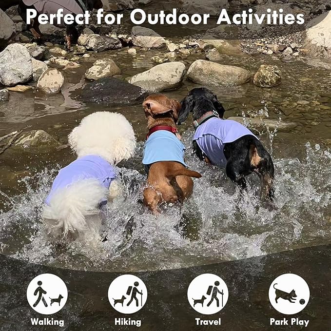 2 Pack Dog T-Shirt Quick Dry, Summer Breathable Cooling Vest, Sun Protection UPF50+ for Sensitive Skin, Stretchy Freedom of Movement for Walk, Blue+Grey, L