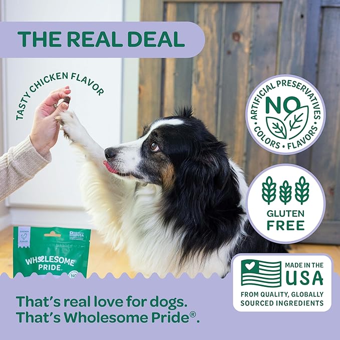 Wholesome Pride Hip & Joint Supplement for Dogs – 90 Soft Chews – Glucosamine, Chondroitin, MSM & Turmeric – Mobility Support & Arthritis Relief for Growing, Adult & Senior Dogs