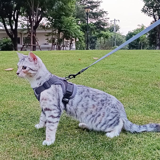 Cat Harness and Leash Set Escape Proof Tactical Medium Kitten Harness Emotional Support Cat Vest, Grey, M