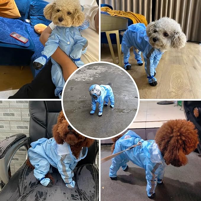 Full Coverage Small Dog Raincoat, Waterproof with Four-Leg Protection, Ideal for Teddy Bears, Includes Waterproof Mini Backpack (Blue, Medium(Suggest Weight 5.5-8.8lb))