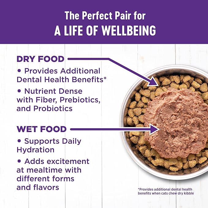 Wellness Complete Health Kitten Dry Cat Food for Indoor and Outdoor Cats, Grain Free, Natural, Chicken & Chicken Meal (5.5 Pound Bag)