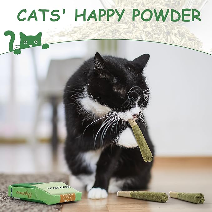 Nocciola 3 Pack Catnip Toys for Cats, Funny Cat Toys Filled with 100% Pure Organic Catnip, Safe Kitten Teething Chew and Kicker Toys, Stress Relieving Fun for Indoor Cats