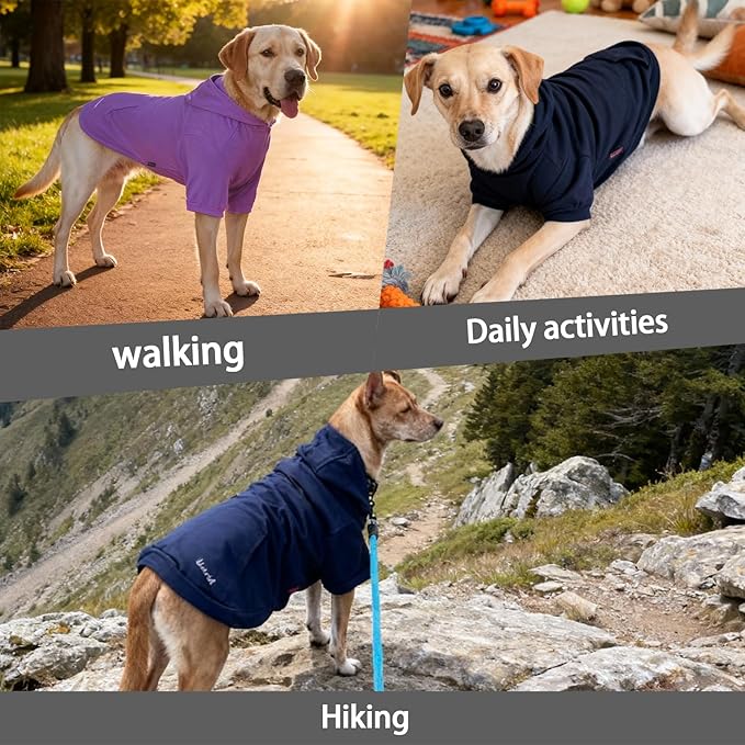 Basic Dog Hoodie Sweatshirts, Pet Clothes Hoodies Sweater with Hat and Leash Hole, Soft Cotton Outfit Coat for Large Medium Small Dogs, Dark Grey (X-Large)