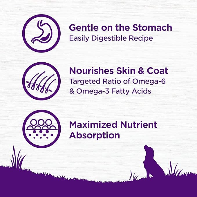Wellness Complete Health Sensitive Skin & Stomach Dry Dog Food, Wholesome Grains, Natural, Salmon & Rice Recipe, (5-Pound Bag)