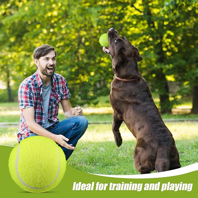 20 Pack Bulk Tennis Balls for Dogs, 2.5 Inch Mini Tennis Balls for Pet Playing Fecth, Yellow Interactive Easy Catching Dog Playing Ball for Small Size Dogs Puppy Pet Playings Exercise and Practice