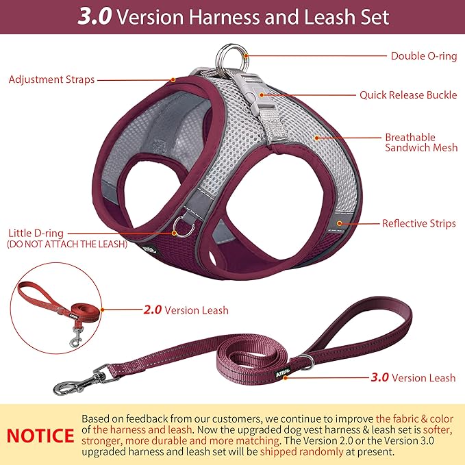 AIITLE Small Harness for Puppy with A Leash - Summer Dog Vest Harness with Super Breathable Mesh, Reflective No-Pull Pet Harness for Outdoor Walking, Camping for Small Dogs, Cats Burgundy XXS