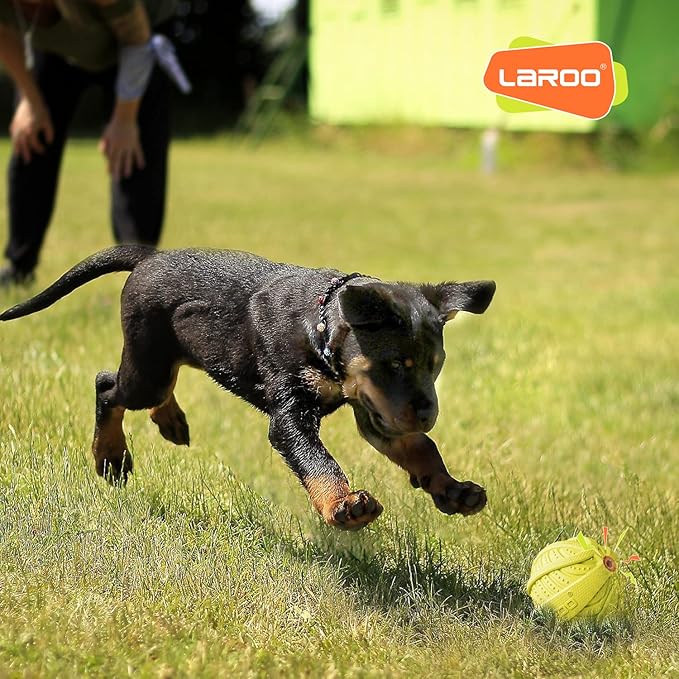 LaRoo Squeaky Dog Ball Toy,Durable Natural Rubber Squeaker Ball Throwing Training,Teeth Cleaning Chew Toy for Pet Medium and Large Dogs (3.5In Green)