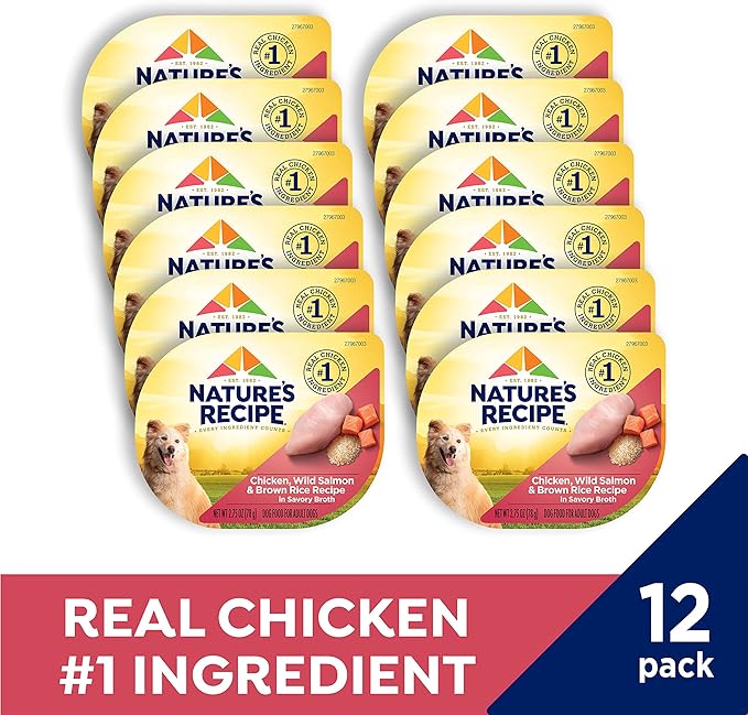 Nature's Recipe Wet Dog Food, Chicken & Wild Salmon in Broth Recipe, 2.75 Ounce Cup (Pack of 12)