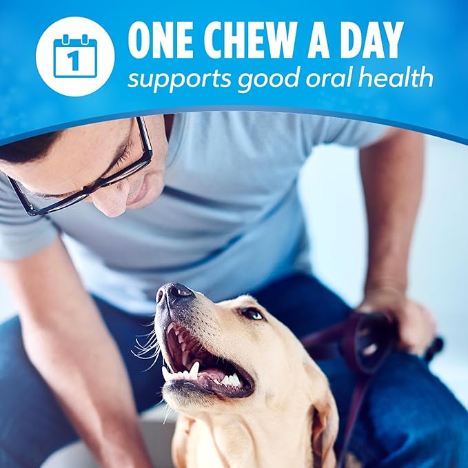 DentaLife Daily Oral Care Dog Treats for Small and Medium Dogs, Chewy Dental Treat to Freshen Breath and Fight Tartar, Chicken Flavor - 40 ct. Pouch