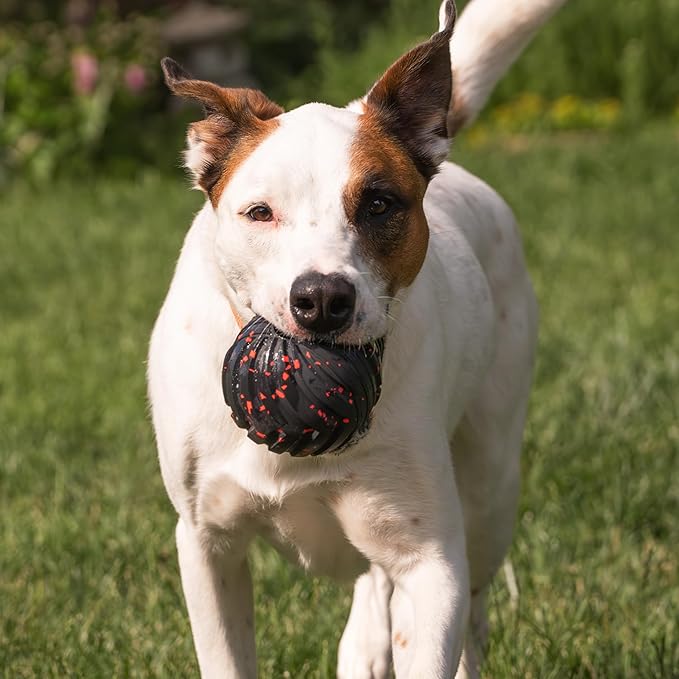 Chew King by Mammoth Supreme Dog Toy Collection, Large 4" Supreme Fetch Ball