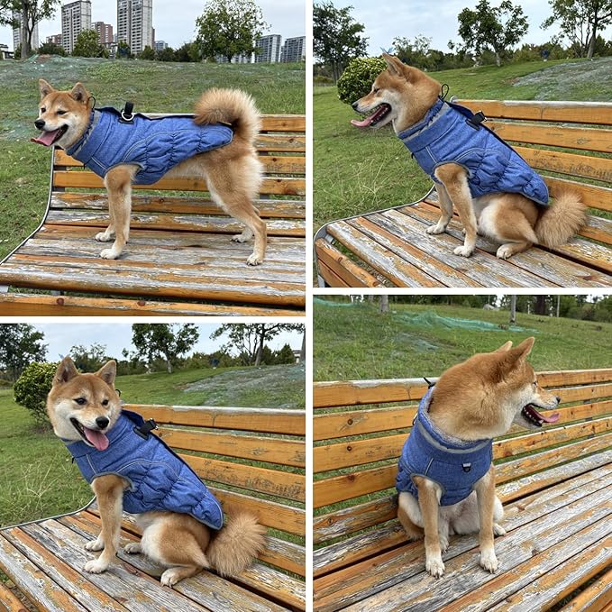 Malier Dog Coat, Reflective Dog Jacket Waterproof Windproof Puppy Cold Weather Coats with Harness Built in, Winter Extra Warm Pet Coat Fleece Vest for Small Large Pets and Puppy (Blue, Large)