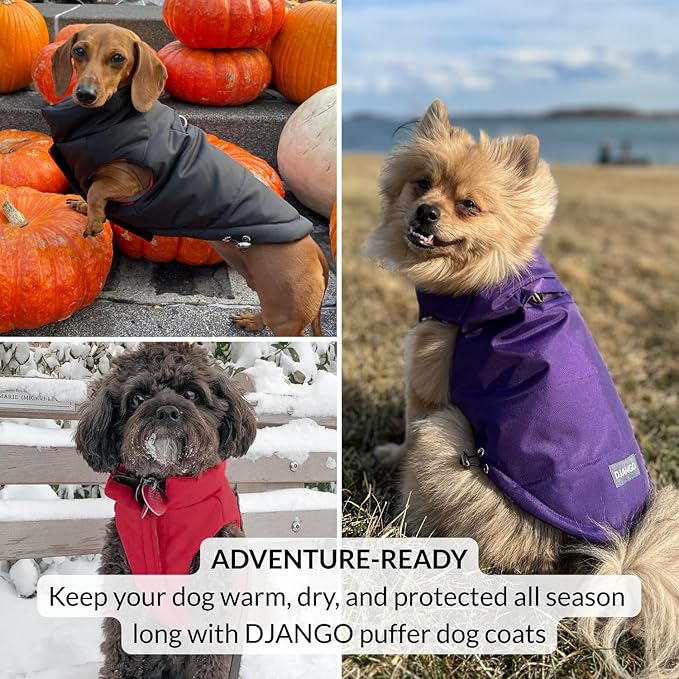 DJANGO Reversible Puffer Dog Coat – Warm Winter Dog Jacket & Water-Repellent Insulated Dog Coat with Harness Hole, Windproof, Adjustable Fit for Small & Medium Dogs, Dachshunds – Lava Red, X-Small
