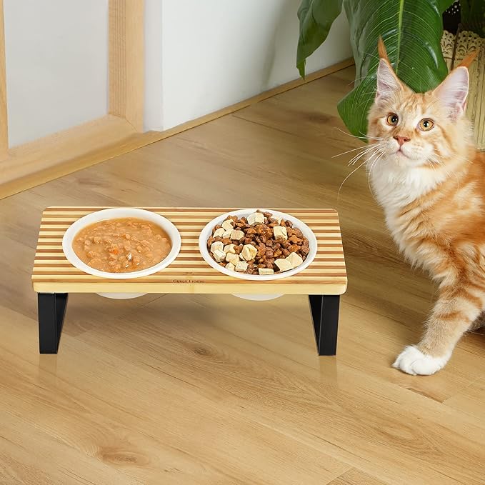 Sunhoo Ceramic Elevated Cat Bowls Raised Puppy Dishes for Food and Water Tilted Wooden Stand for Indoor Cats 5.5 inch Wide Double Dish Orthopedic Reduces Vomiting (Yellow&Brown)