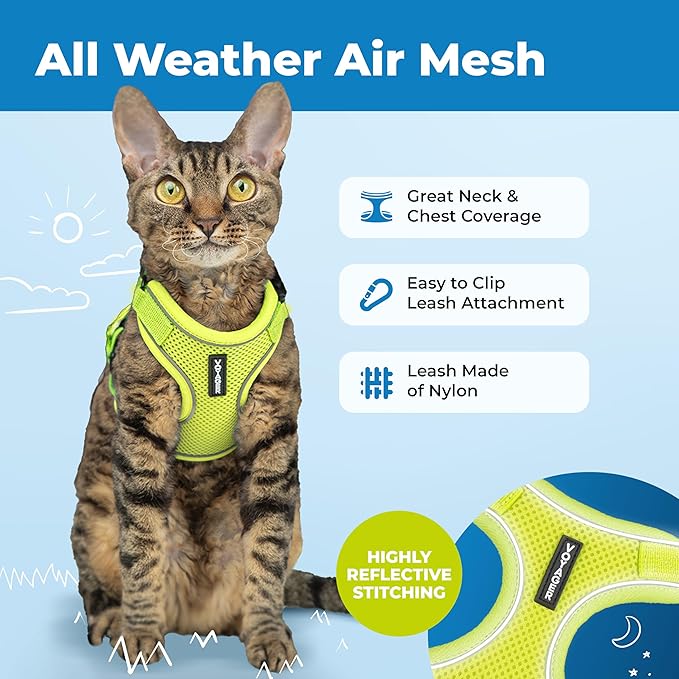 Voyager Escape Proof Cat Harness and Leash Set with Reflective Stitching, Neoprene Handle 5ft - Supports Small, Medium and Large Cats, Kittens for Walking by Best Pet Supplies - Lime, S
