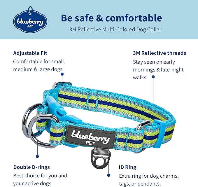 Blueberry Pet Safety Dog Collar with Dual D-Rings | 3M Reflective Multi-Colored Adjustable Collar in Blue and Yellow | Soft Nylon Dog Collar for Active Small Dogs