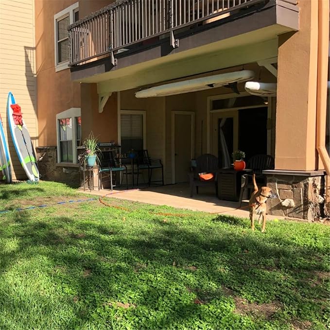 Dog/Puppy Obedience Recall Training Agility Lead - 15ft 20ft 30ft 40ft 50ft Training Leash - Great for Play, Camping, or Backyard (Brown, 30 Feet)