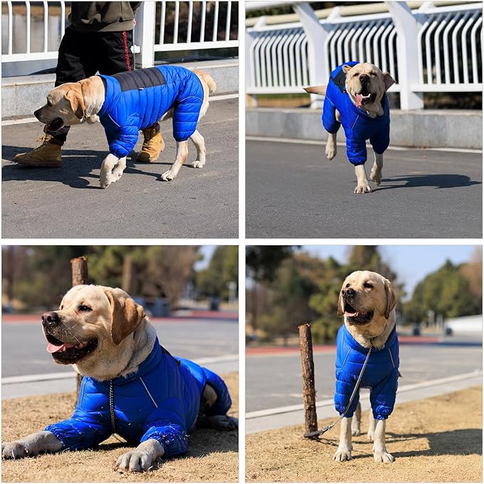 Lovelonglong Warm Jacket - 4 Legs Covered Waterproof Windproof Reflective Vest, Zippered Adjustable Outdoor Snow Jacket for Small Medium Large Dogs, Blue L
