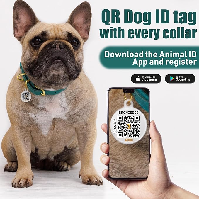 BronzeDog Leather Dog Collar Buckle Durable Pet Collars for Small Medium Large Dogs Puppy Cat Kitten Red Pink Purple Green Brown Black (19-21 Inch (Pack of 1), Light Brown)