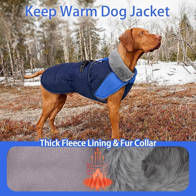 MIGOHI Cozy Small Dog Coat - Reflective Dog Coat for Small Dogs,Fleece Winter Coats Jacket for Dogs with Leash Hole,Snowproof Thick Puppy Clothes,Pomeranian,Chihuahua,XS,DarkBlue