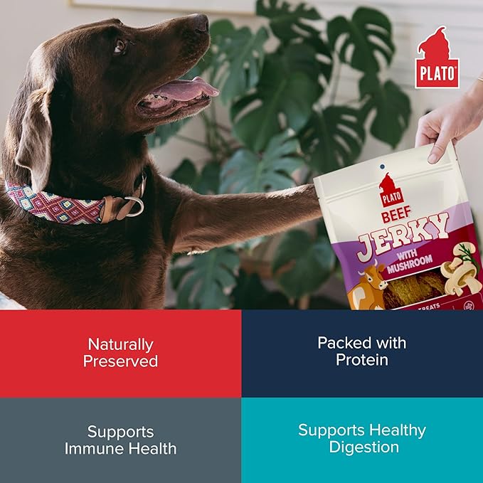 PLATO Pet Treats Jerky Dog Treats - Air-Dried Jerky for Dogs - Delicious, Real Meat Dog Treats - Grain Free - Supports Healthy Digestion - Beef Jerky with Mushroom 7oz