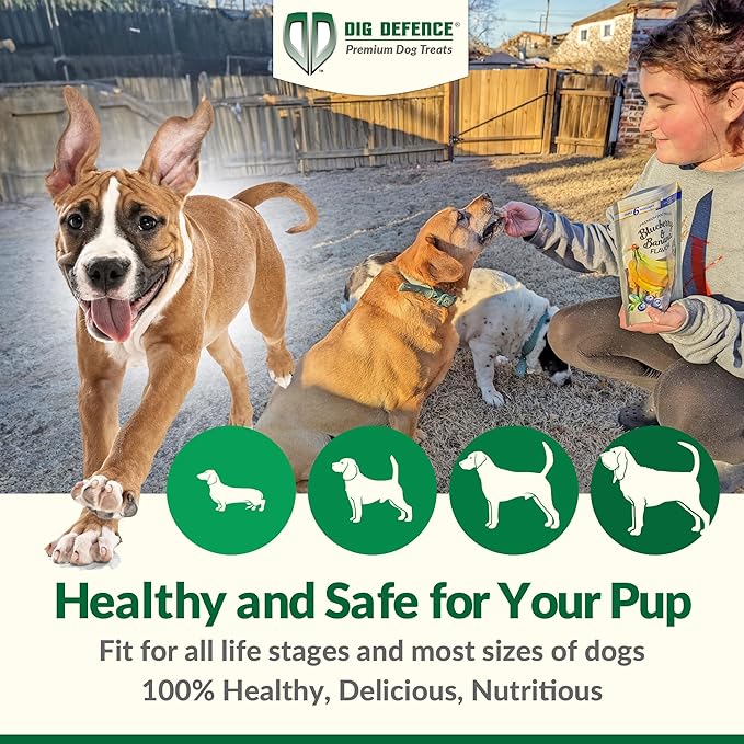 Dig Defence Premium Dog Treats Variety Pack - Gourmet Healthy Dog Treats, All-Natural Training Treats for Large, Medium & Small Dogs, 6-Pack