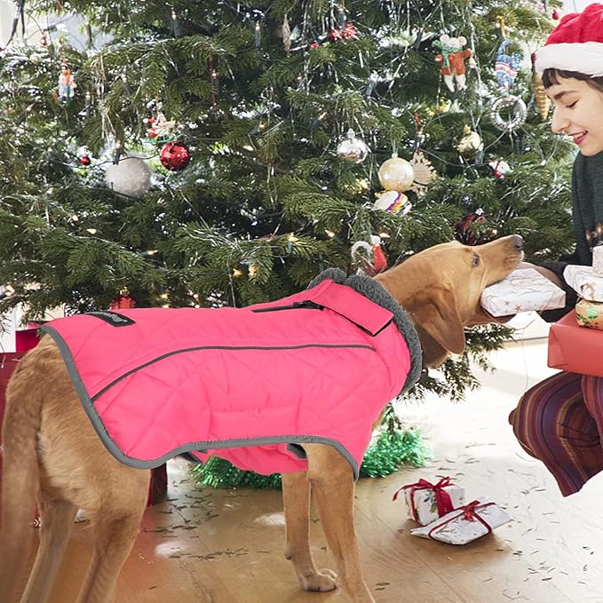 Fragralley Dog Coat Large, Waterproof Dog Jacket with Warm Fleece Lining, Adjustable Reflective Dogs Winter Coat, Turtleneck Pet Coats for Cold Weather (Pink XXL)