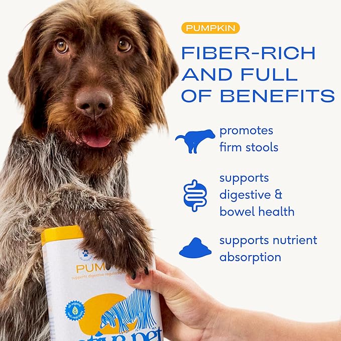 Native Pet Beef Bone Broth for Dogs (4.75 oz) & Organic Pumpkin for Dogs (8 oz.) - Dog Bone Broth Powder Food Topper for Picky Eater and All-Natural, Organic Fiber Pumpkin Powder