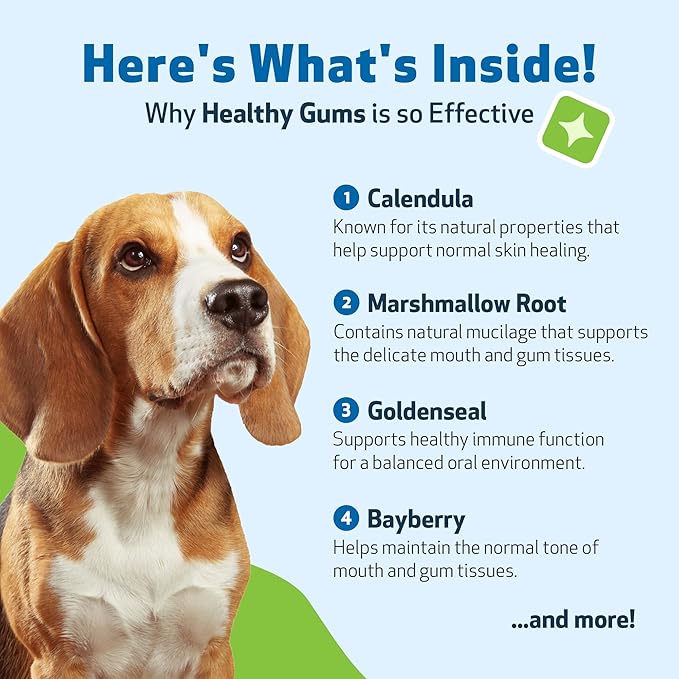 Pet Wellbeing - Healthy Gums for Dogs - Natural Supplement for Healthy Gums, Teeth and Breath Against Dog Gingivitis - 2oz (59ml).