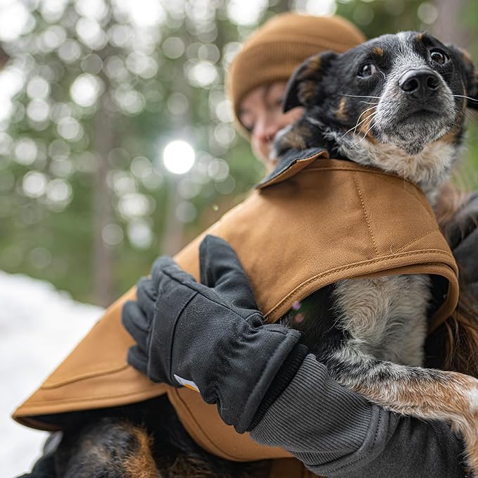 Carhartt Firm Duck Insulated Dog Chore Coat, Durable Weather Resistant Jacket for Cold and Windy Conditions, PFAS Free (Deep Wine), Large