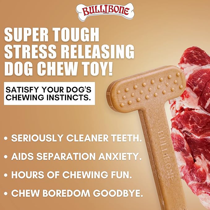 Bullibone Nylon Dog Chew Toy Nylon Bone - Improves Dental Hygiene, Easy to Grip Bottom, and Permeated with Flavor (Beef, Small - 2 Pack)