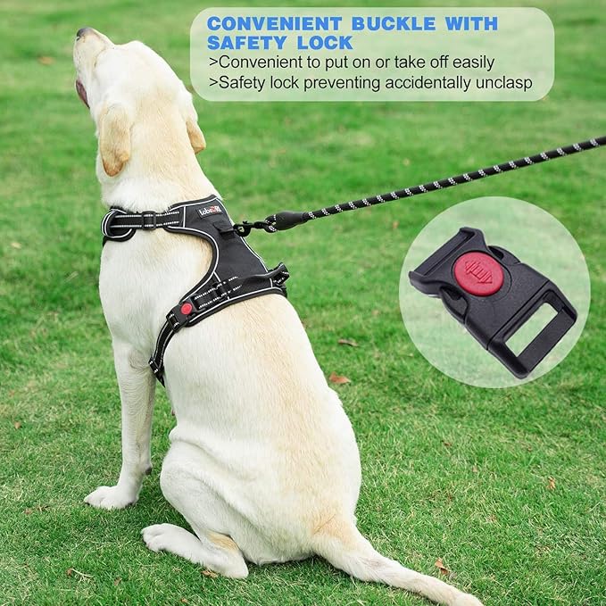 No Pull Dog Harness Adjustable Reflective Oxford Easy Control Medium Large Dog Harness with A Free Heavy Duty 5ft Dog Leash (M (Neck: 14.5"-20.5", Chest: 22"-28"), Pink Harness+Leash)