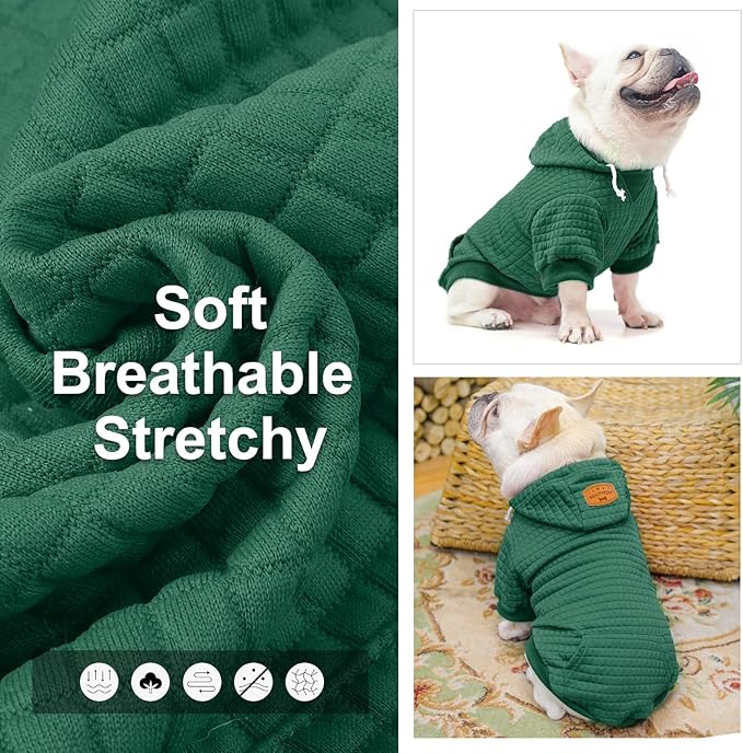 BEAUTYZOO Small Dog Hoodie Sweater with Pockets, Dog Clothes for Small Medium Dogs Boy Girl, Waffle-Like Laminated Cotton Pet Coats with Hat and Leash Hole, Green XL