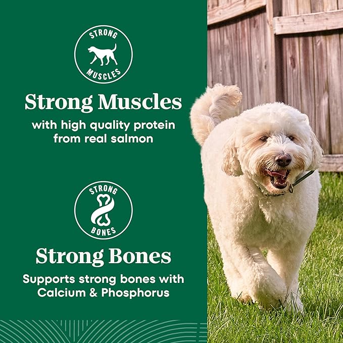 Nutro Natural Choice Salmon & Brown Rice Adult Dry Dog Food Recipe, 28 lb. Bag